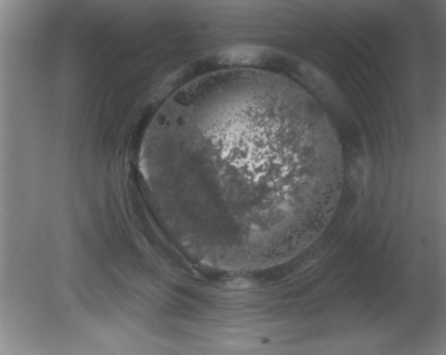 X0000081600551200701221139