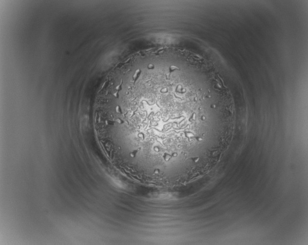 X0000081600553200701221139