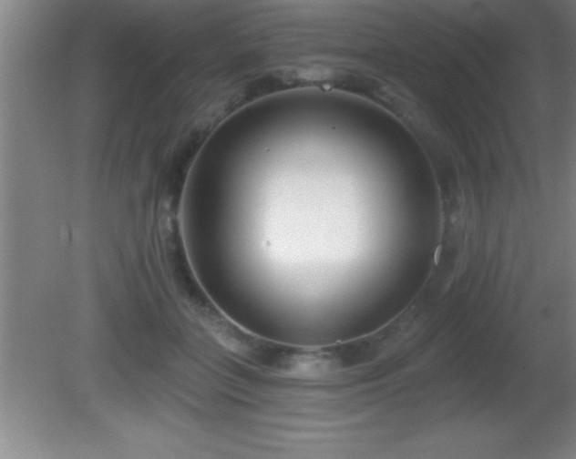 X0000081600555200701221139