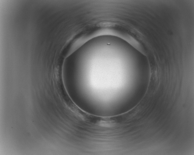 X0000081600556200701221139