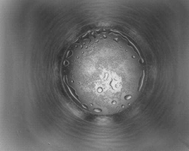 X0000081600557200701221139