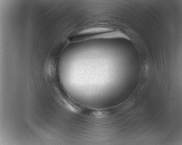 X0000081600558200701221139