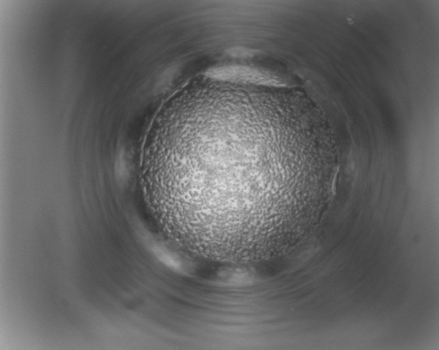 X0000081600559200701221139