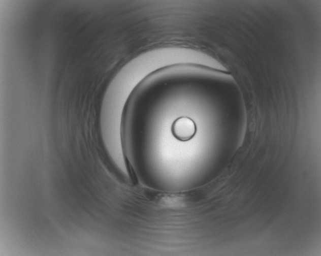 X0000081600560200701221139