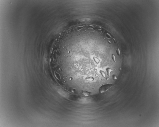 X0000081600561200701221139