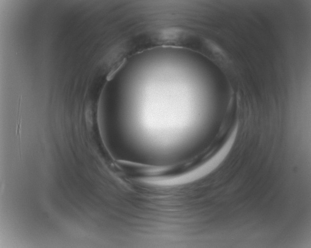 X0000081600562200701221139