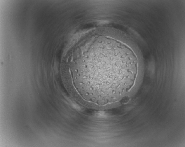 X0000081600565200701221139