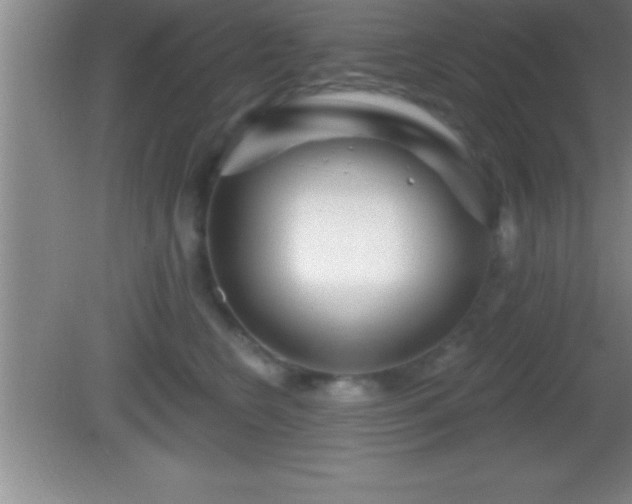 X0000081600566200701221139