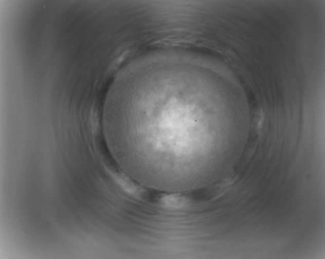 X0000081600568200701221139