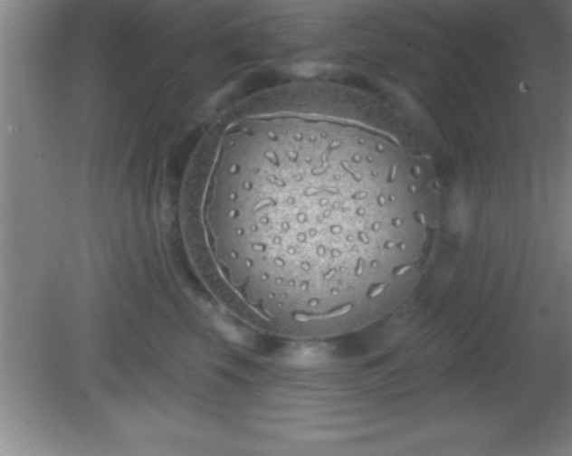 X0000081600569200701221139