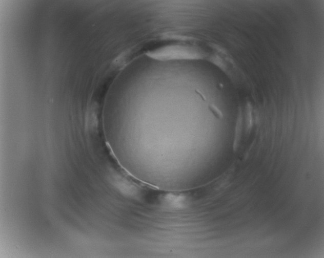 X0000081600570200701221139