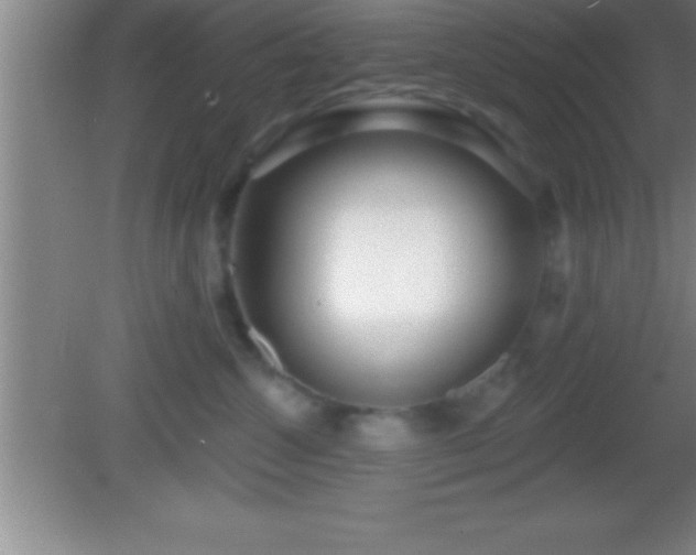 X0000081600572200701221139