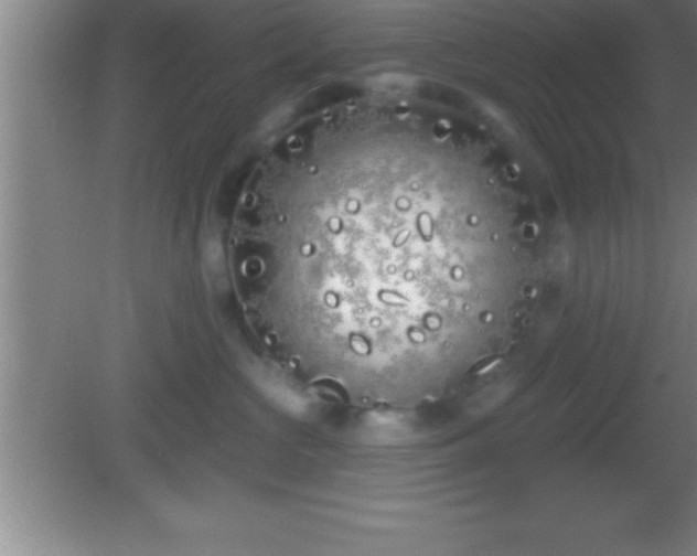 X0000081600573200701221139