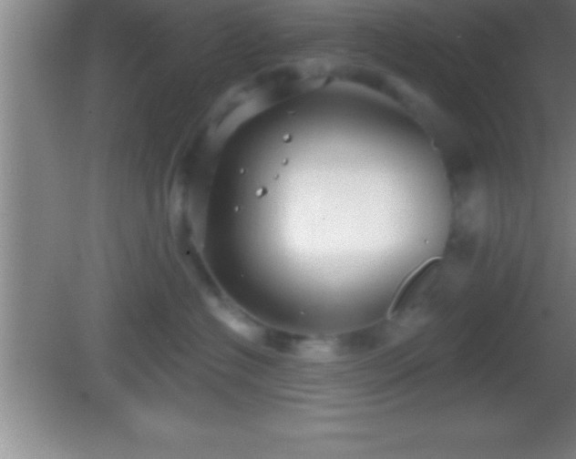 X0000081600574200701221139