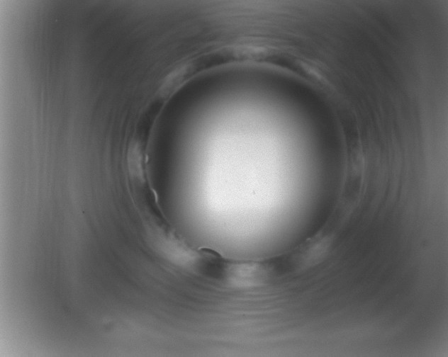 X0000081600575200701221139