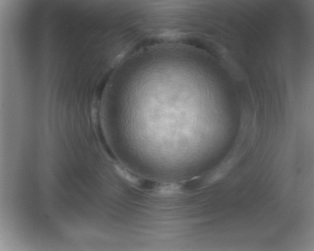 X0000081600576200701221139