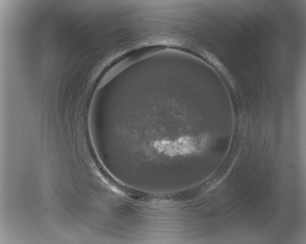 X0000081600577200701221139