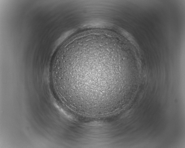 X0000081600578200701221139