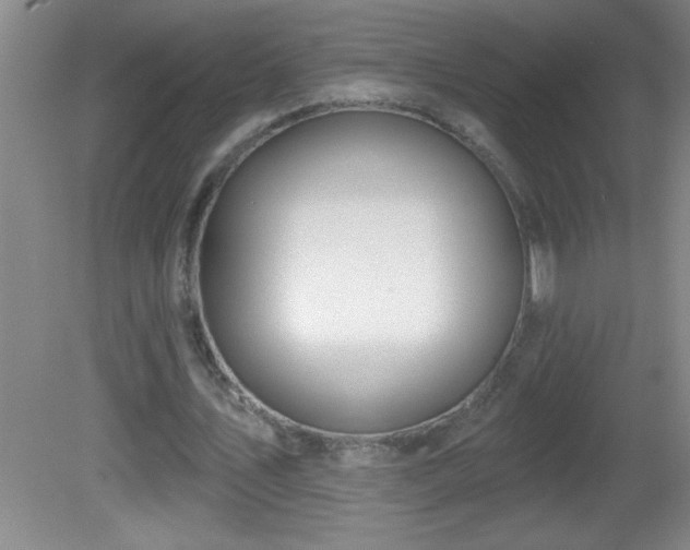 X0000081600579200701221139