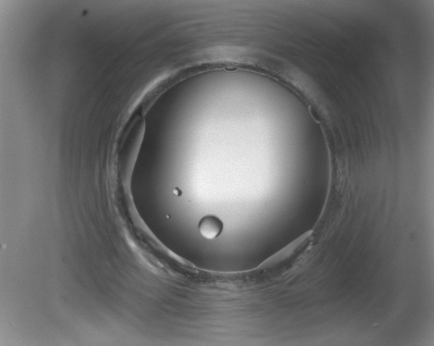 X0000081600580200701221139