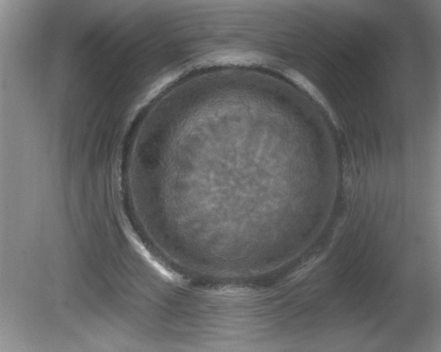 X0000081600581200701221139