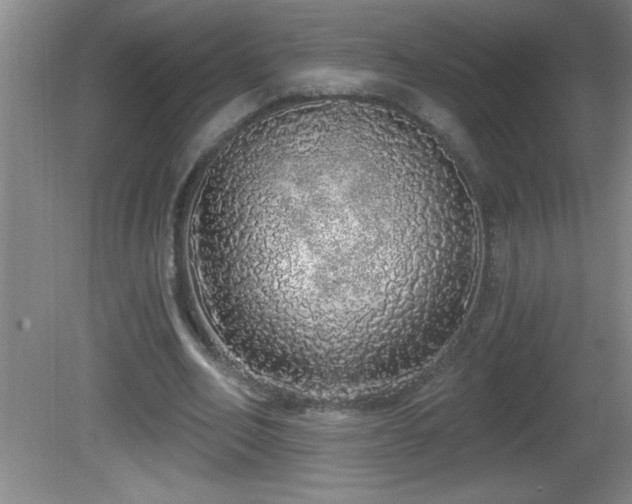 X0000081600582200701221139