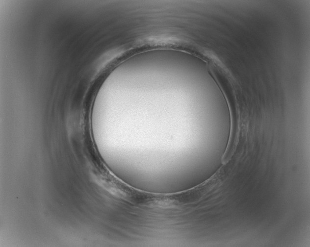 X0000081600583200701221139