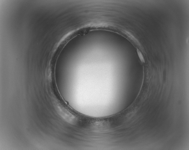 X0000081600584200701221139