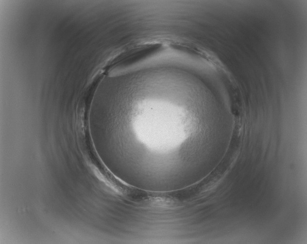 X0000081600585200701221139