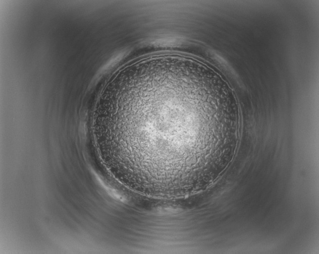 X0000081600586200701221138