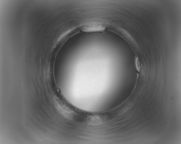 X0000081600588200701221138