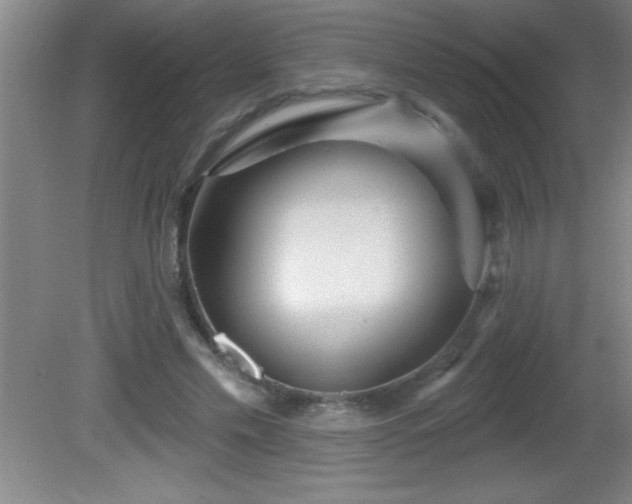 X0000081600589200701221138