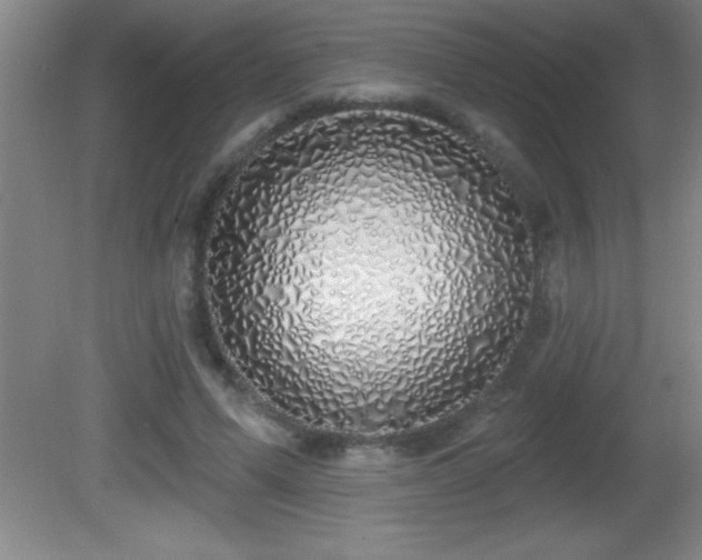 X0000081600591200701221138