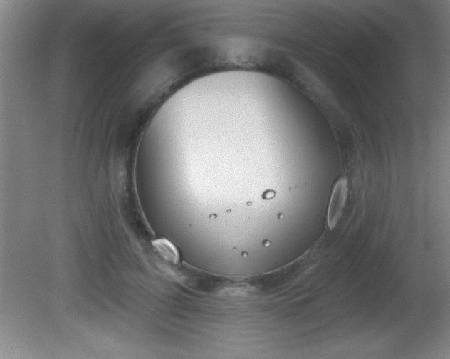 X0000081600595200701221138