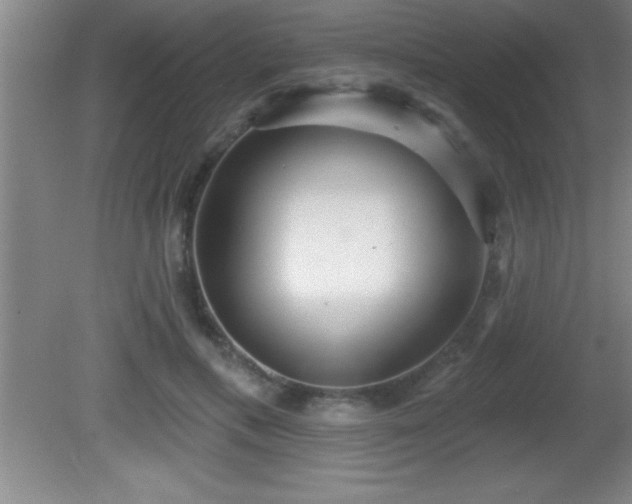 X0000081600597200701221138