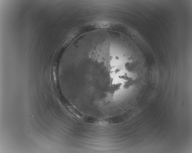 X0000081600598200701221138