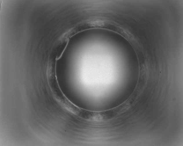 X0000081600600200701221138