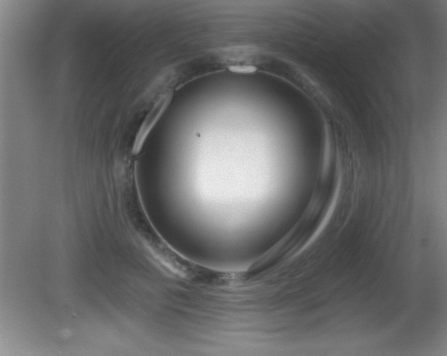 X0000081600601200701221138