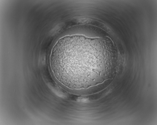 X0000081600602200701221138