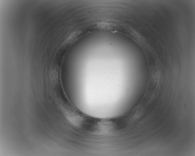 X0000081600603200701221138