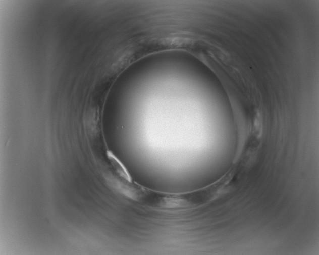 X0000081600605200701221138