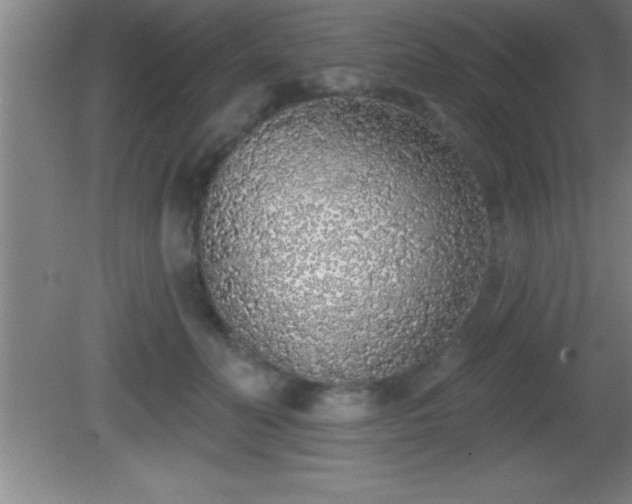 X0000081600606200701221138