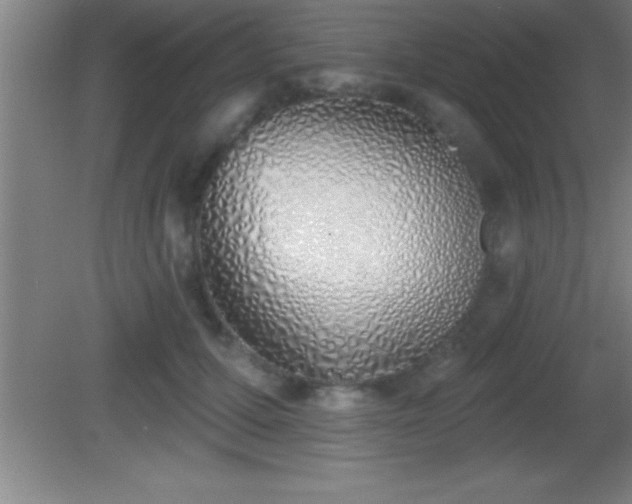 X0000081600607200701221138