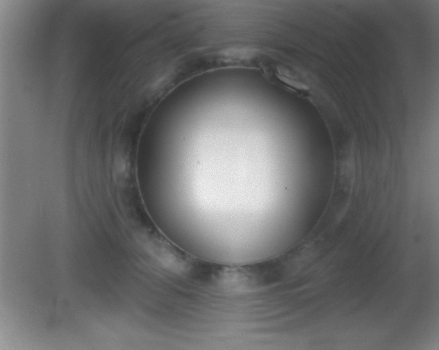 X0000081600608200701221138