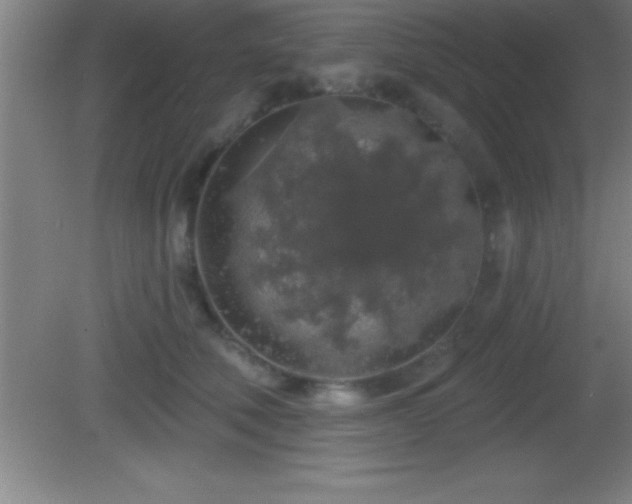 X0000081600610200701221138