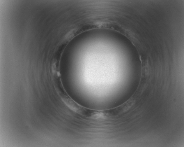 X0000081600611200701221138