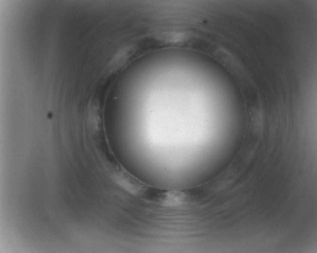 X0000081600612200701221138