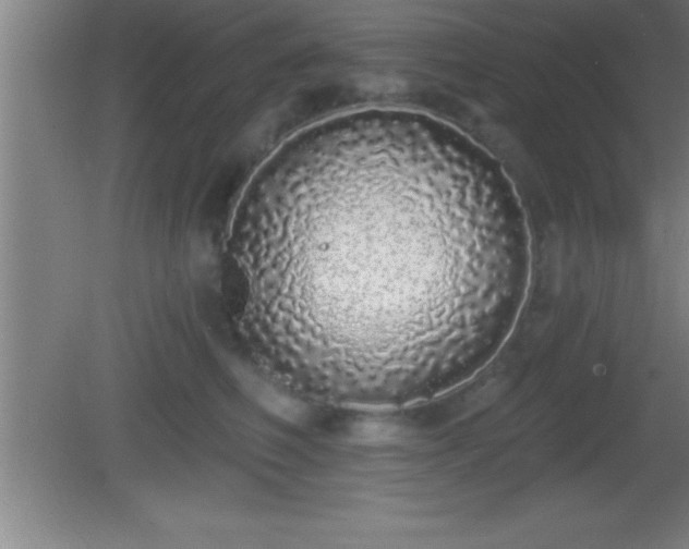 X0000081600614200701221138