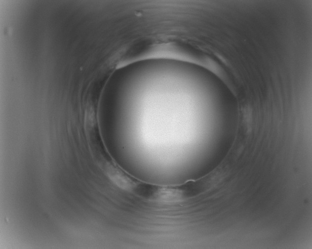 X0000081600617200701221138