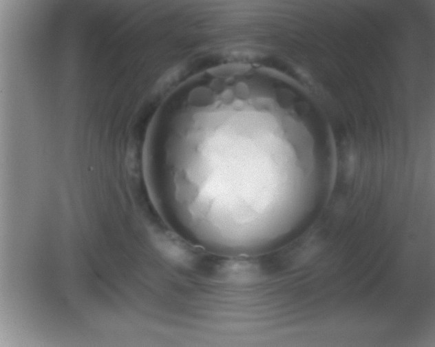 X0000081600619200701221138